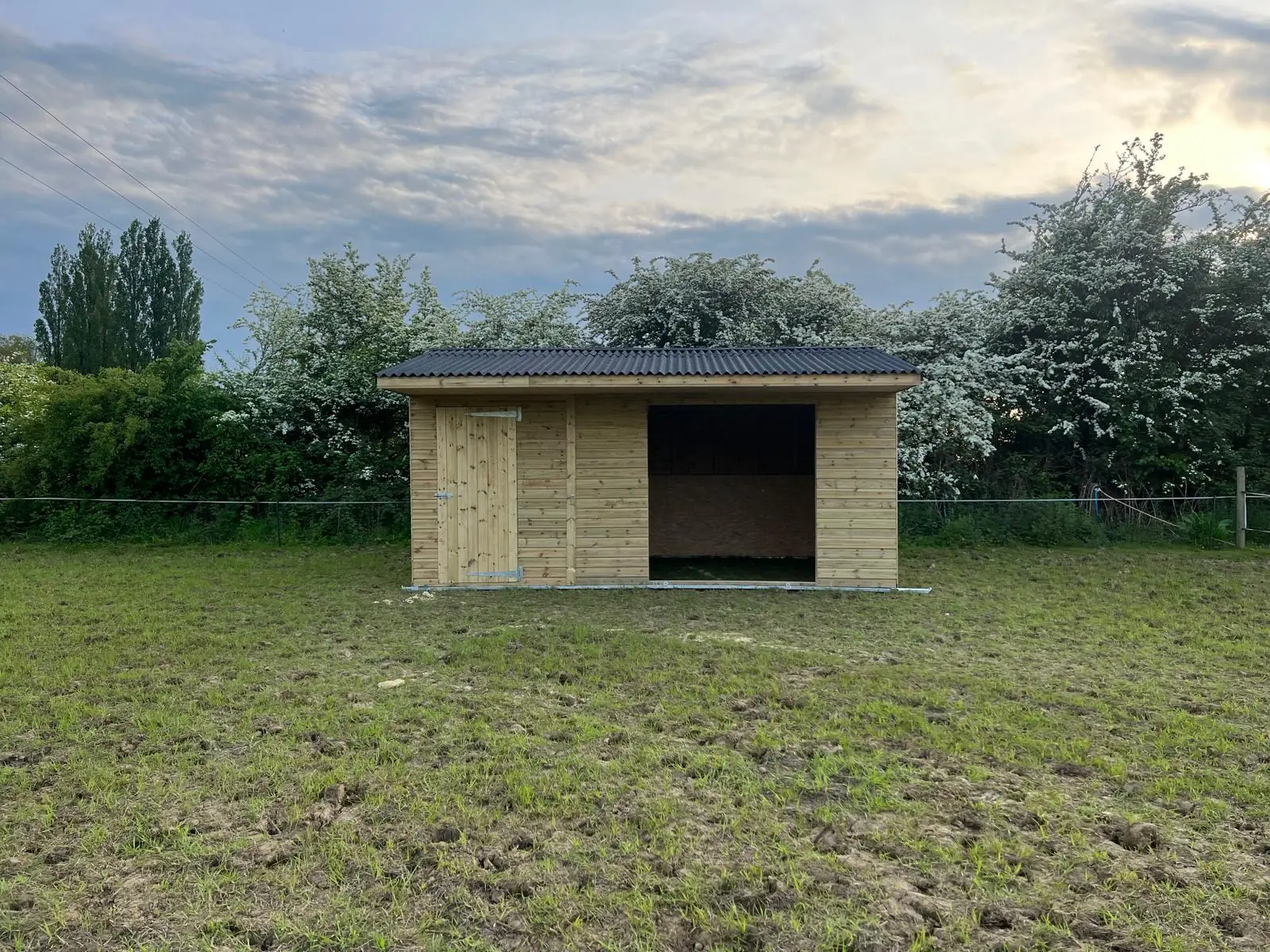 Single timber field shelter beside a grassy paddock